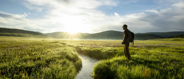 Person standing beside a stream in a sunlit meadow